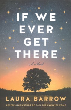 If we ever get there - a novel