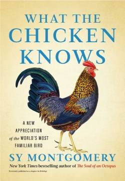 What the Chicken Knows - A New Appreciation of the World's Most Familiar Bird