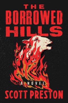 The borrowed hills - a novel