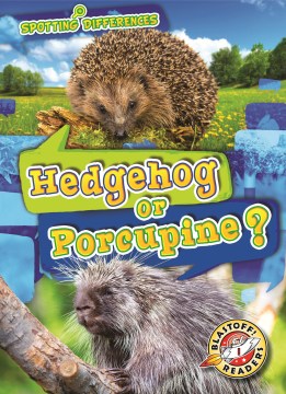 Hedgehog or porcupine?