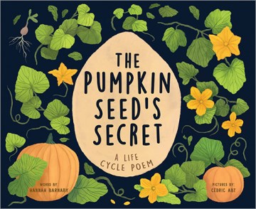 The pumpkin seed's secret - a life cycle poem