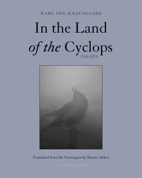 In the land of the cyclops : essays