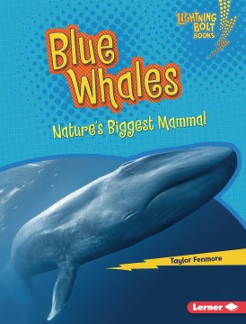 Blue whales - nature's biggest mammal