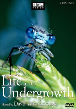 Life-in-the-Undergrowth
