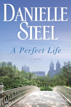 A-perfect-life-:-a-novel