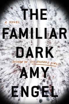 The-familiar-dark-:-a-novel