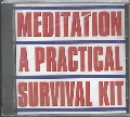 Meditation a practical survival kit.