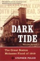 Dark tide : the Great Boston Molasses Flood of 1919