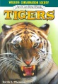 Tigers Tigers