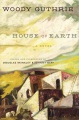House of earth : a novel