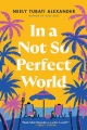 In a not-so-perfect world : a novel