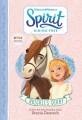 Abigail's diary Abigail's diary