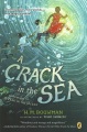 A crack in the sea