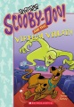Scooby-Doo! and the virtual villain Scooby-Doo! and the virtual villain