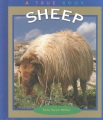 Sheep Sheep