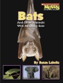 Bats : and other animals with amazing ears Bats : and other animals with amazing ears