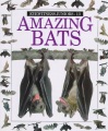 Amazing bats Amazing bats