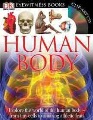 Eyewitness human body Eyewitness human body