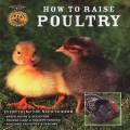 How to raise poultry : everything you need to know