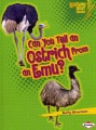 Can you tell an ostrich from an emu Can you tell an ostrich from an emu