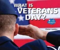 What is Veterans Day? What is Veterans Day?