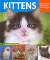 Kittens : keeping and caring for your pet Kittens : keeping and caring for your pet