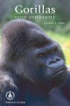 Gorillas : huge and gentle Gorillas : huge and gentle