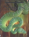 Snakes Snakes