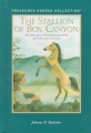 The stallion of Box Canyon The stallion of Box Canyon