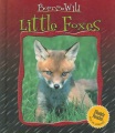 Little foxes Little foxes
