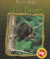 Little bears Little bears