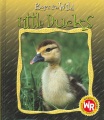 Little ducks Little ducks