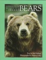 Bears Bears