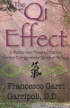 The Qi effect : Chinese energy meets quantum biology to enhance your personal practice