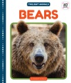 Bears Bears