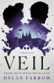 Veil : a Hush novel