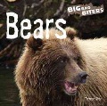 Bears Bears