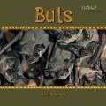 Bats Bats