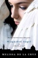 فرشته گمراه، جلد کتاب