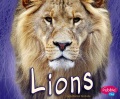 Lions Lions