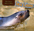 Sea lions Sea lions