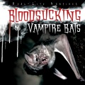 Bloodsucking vampire bats Bloodsucking vampire bats