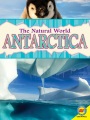 Antarctica Antarctica