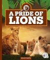 A pride of lions