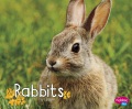 Rabbits Rabbits