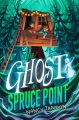 The ghost of Spruce Point
