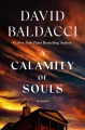 A calamity of souls : a novel
