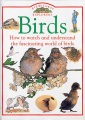 Birds Birds