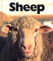 Sheep Sheep