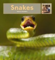 Snakes Snakes